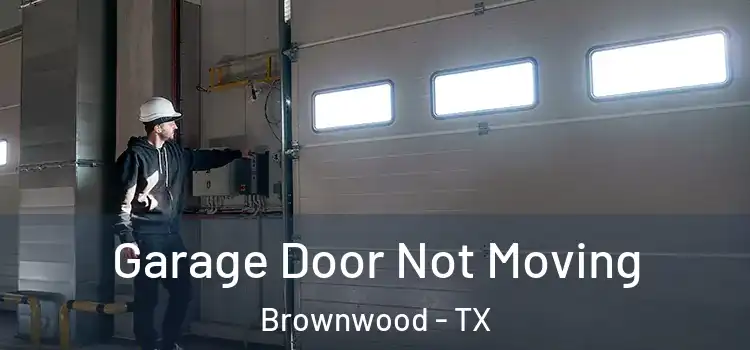  Garage Door Not Moving Brownwood - TX